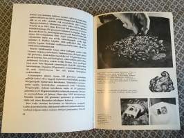 Kulta-Lappia ja kullankaivajia.