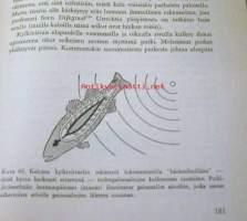 Aistien ihmeitä eläinmaailmassa