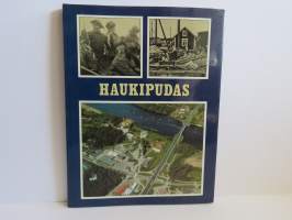 Haukipudas