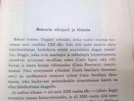 Bokseri