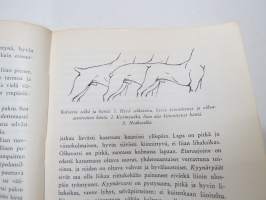 Bokseri