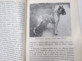Bokseri