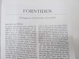 Svensk kulturhistoria - Svenska krönikan