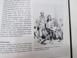 Svensk kulturhistoria - Svenska krönikan