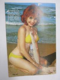 Jallu 1962 nr 2 Kansikuva Mamie van Doren, Nuoria tyttöjä katoaa arabimaihin, Olin mies - nyt nainen - Kurt Hamström osa 2., Lunta ja lempeä, ym.