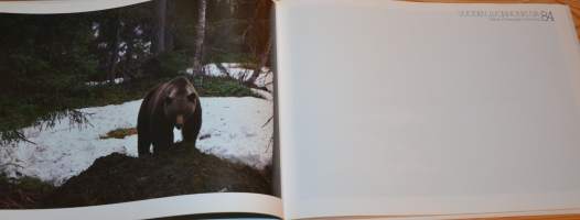 Vuoden luonnonkuvat 83-88