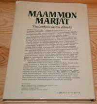 Maammon marjat. Entisaikain lasten elämää