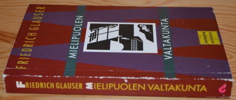 Mielipuolen valtakunta