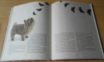 Bosse ja Nero Tuhkimon apureina