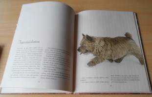 Bosse ja Nero Tuhkimon apureina