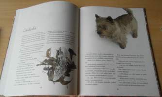 Bosse ja Nero Tuhkimon apureina