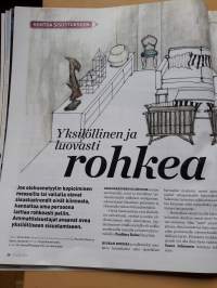 Meidän talo 1/ 2011.Lumitöistä  hormeihin, keskuspölyimurista  rakennuksen  ensisöintiin jne.