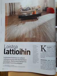 Meidän talo 2/2011.Sulamisvesistä, remonttiin,ilmanvaihdosta maalämpöön ym.