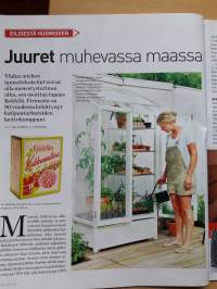 Meidän talo 3/ 2011. Keittiön sisustuksesta maaperätutkimukseen, pihan  laitosta  porrasratkaisuihin  jne.