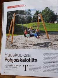 Medän talo 6/ 2011.Talon  rakentamnen, ulkoseinät,  vaivaton piha, lämmitys  edullisesti  jne.