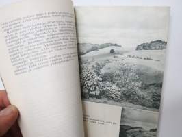 Suurentaminen - Foto-sarja nr 11