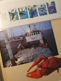 1991 Postimerkkivuosi, Frimärksåret, Stamp year, Briefmarkenjahr Finland, Suomi, Finnland