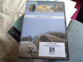 DVD Östersjöns gråsäl