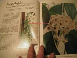 Kodin kukat: ruukkukukat 2