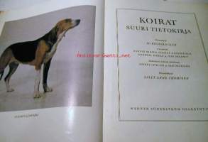 Koirat -suuri tietokirja