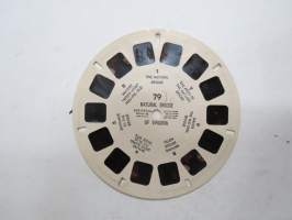 View-Master 79 Natural Bridge of Virginia, USA  -reel / kuvakiekko