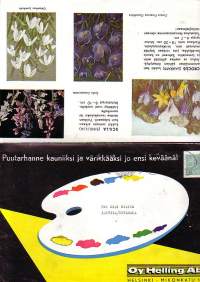 Kevätkukkaesite 50-luvulta - Tulppaanit, narsissit, scillat, krookukset etc.