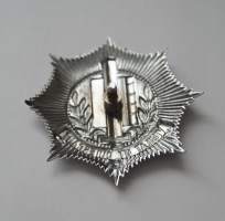 Dutch Police Helmet  Plate **Vigilat Ut Quiescant**  Hollanin   poliisin  lakkimerkki metallia  ruuvikiinnitys 65 mm - poliisi   kokardi