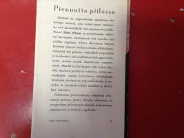 Pienuutta piilossa