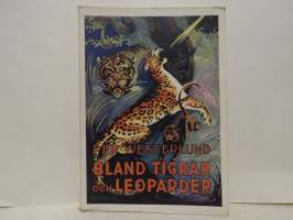 Bland tigrar och leoparder