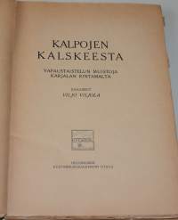Kalpojen kalskeesta - Vapaustaistelun muistoja Karjalan rintamalta