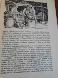 Lukukirja 6/ yläkoulun yläluokkain toinen vuosikurssi. F.A. Håstesko, Jaakko Laurila, Juho Jussila, Severi Kantola. P.1931, sivuja 160.