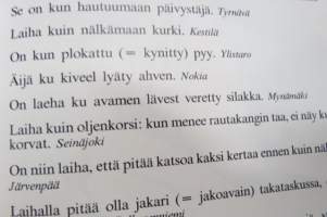 Rapatessa roiskuu - Nykysuomen sananparsikirja -Finnish dictums