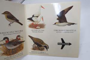 Swissair Vivace -lentoyhtiön promootiosingle, jossa lintujen ääniä, kuvituksena 12 muuttolintulajia ja niiden reitit -single-levy / promotional single record, birds