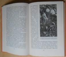 Koristekukkien kauneimmat - Perennat värikuvina