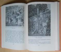 Koristekukkien kauneimmat - Perennat värikuvina