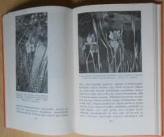 Koristekukkien kauneimmat - Perennat värikuvina