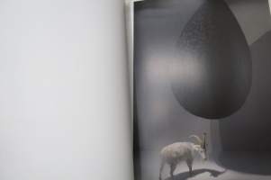 Pekka Jylhä 2007 Etelä-Karjan museo - Wäinö Aaltosen museo - Helsingin taidemuseo - La Criée centre d´art contemporain Rennes, näyttelykirja / art exhibition book