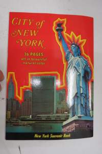 New York City - De Luxe Picture Book - New York souvenir Book-kaupunkiesite / matkaopas / matkamuistokirja