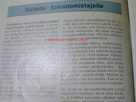 Iloinen pentu