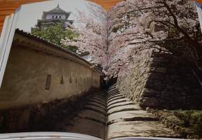 Insight Guides Japan