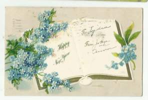 Vuoden 1919 kukkia-  kohopaino postikortti kulkenut