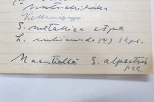 Kemijärven sudenkorennoisfauna - Retkeilymerkintöjä 1935