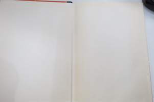 Muistorikas Viipuri -kuvateos / picture book (Viborg)