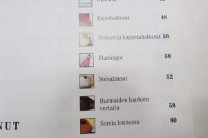 Suomen ja Euroopan linnut määritysopas
