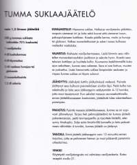 Jäätelö, 2013. Kirjassa on yli 60 herkullista jäätelöreseptiä: kermajäätelöitä, sorbetteja, granitoja ja jäätelöpuikkoja.
