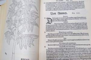 Leonharrt Fuchs Kreutterbuch 1543 -faksimile, yrttikirja näköispainos
