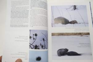 Saimaannorppa &amp; ystävät, upeita kuvia ja aitoja kertomuksia - Saimaa ringed seals &amp; us, pictures and stories