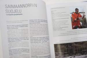 Saimaannorppa &amp; ystävät, upeita kuvia ja aitoja kertomuksia - Saimaa ringed seals &amp; us, pictures and stories