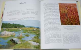 Toukohärkä ja kultasiipi niityt ja niiden hoito