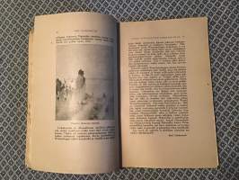 Nuori Suomi Joulualbumi XXVII 1917